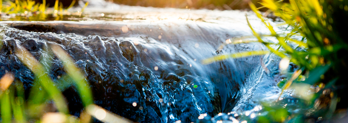 Corte Suprema rechaza reclamo de SQM por disponibilidad de aguas en el Salar de Atacama