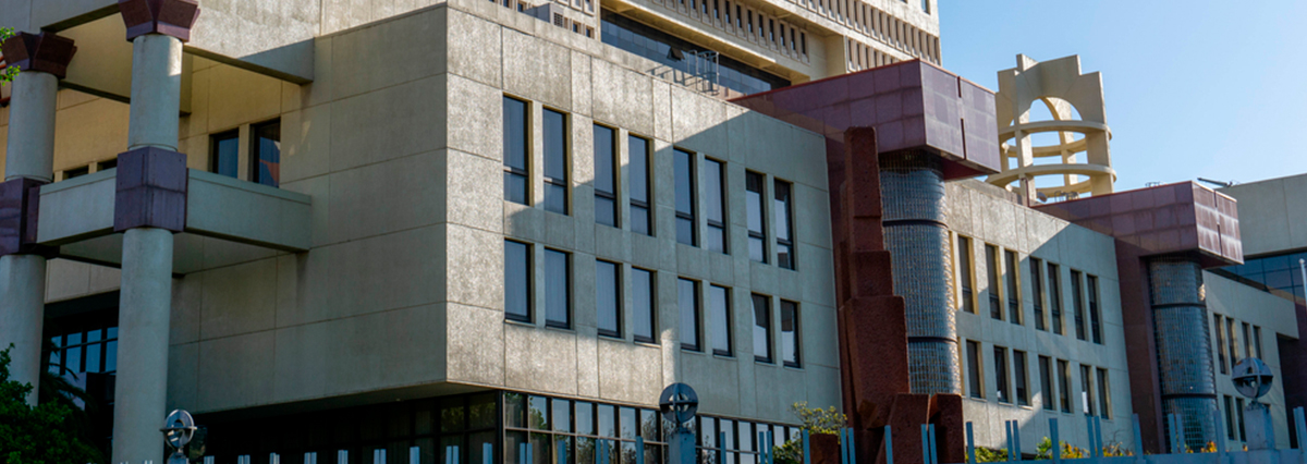 Proyecto de ley de reconstrucción nacional ingresa a la Cámara de Diputados