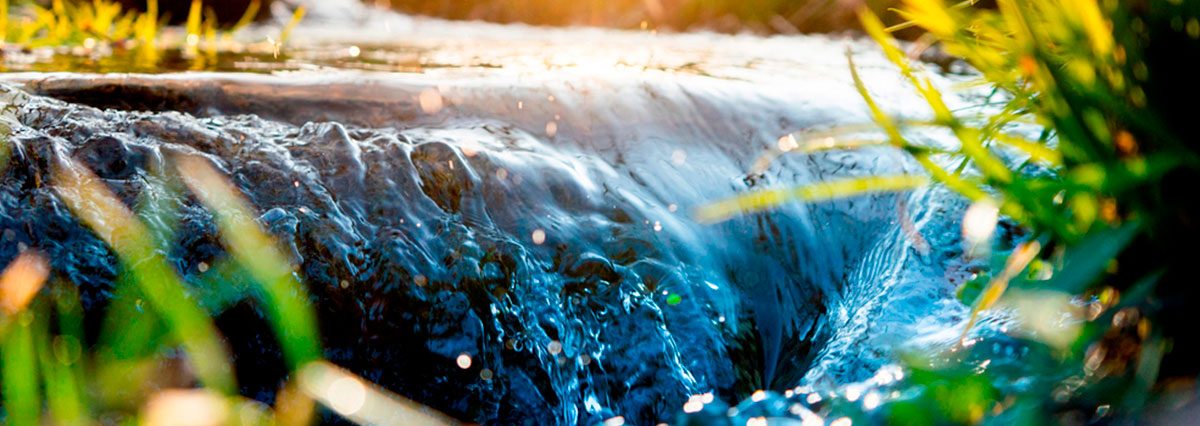 AGUAS1
