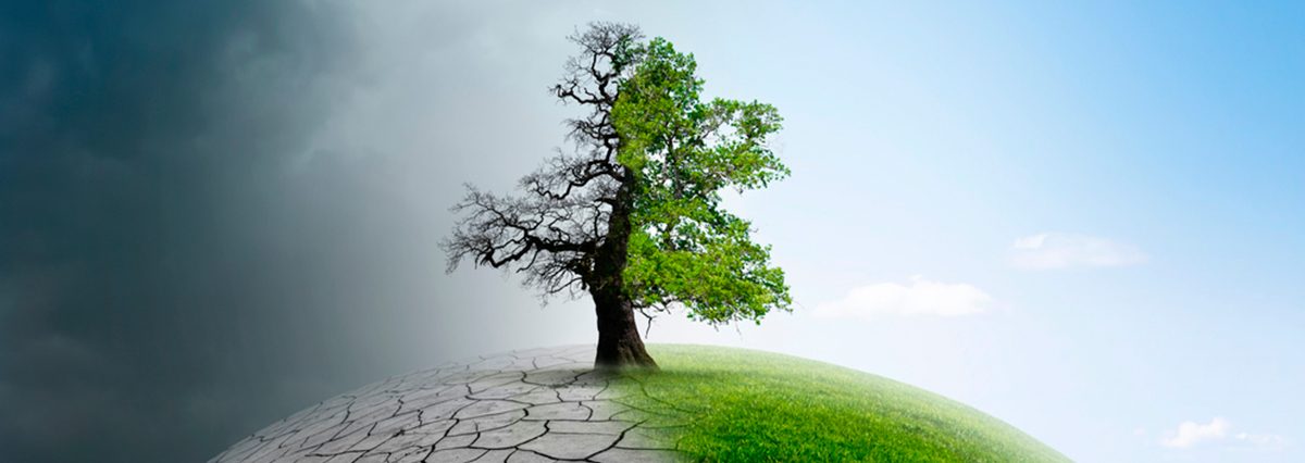 Comisión-Asesora-Presidencial-para-la-observación-del-cambio-climático