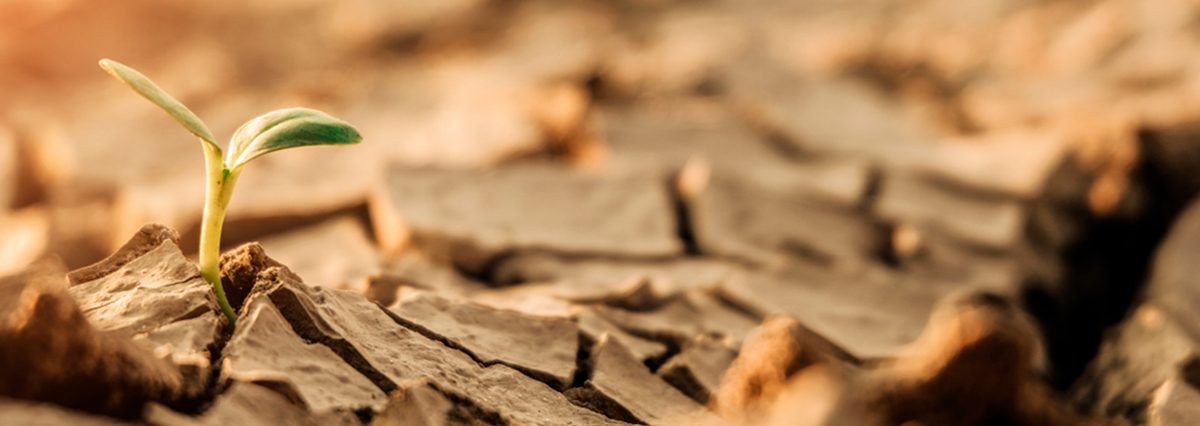 Comunas-de-Colina-y-Til-Til-son-declaradas-zona-de-escasez-hídrica-por-el-MOP