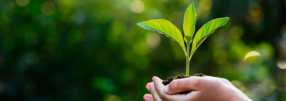 Continuador-legal-del-Intendente,-en-la-Presidencia-de-la-Comisión-de-Evaluación-Ambiental-es-el-Gobernador-Regional