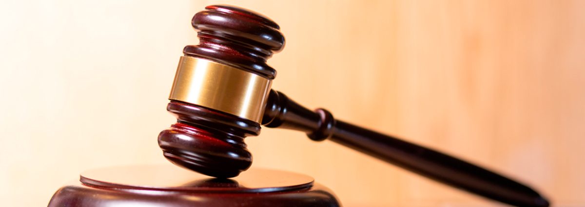 Corte-Suprema-ratifica-resolución-que-rechazó-Declaración-de-Impacto-Ambiental-de-planta-de-cerdos-en-Ñuble