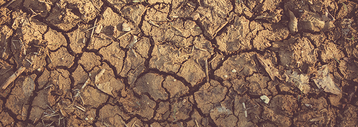 Corte-Suprema-rechazo-recurso-de-proteccion-interpuesto-por-vecinos-de-Petorca