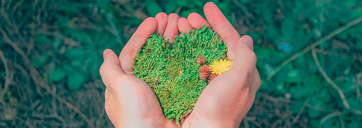 Corte-Suprema-suspende-efectos-de-los-permisos-de-nueva-obra-inmobiliaria-en-Quilpue