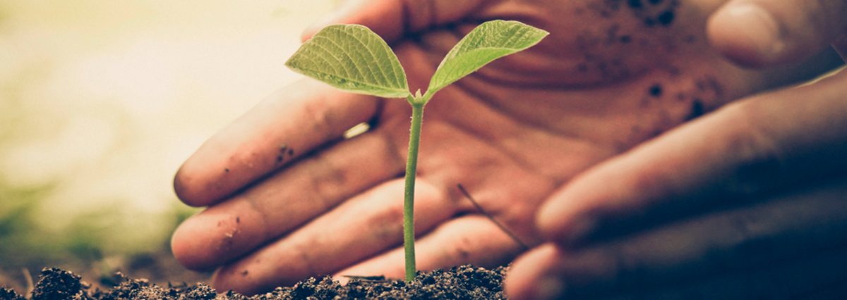 Declara-Humedal-Urbano-el-Humedal-Vegas-de-Chivilcan