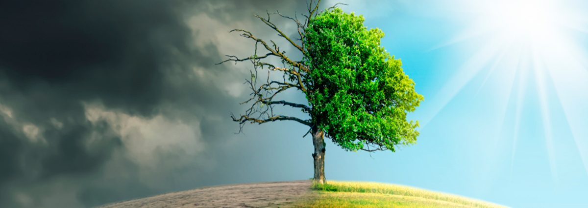 Declara-nuevas-comunas-en-situación-de-emergencia-agrícola-por-efectos-del-daño-productivo-derivado-de-déficit-hídrico