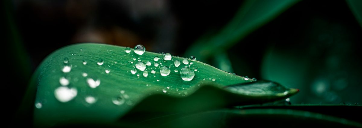 Declara-santuario-de-la-naturaleza-Aguada-La-Chimba