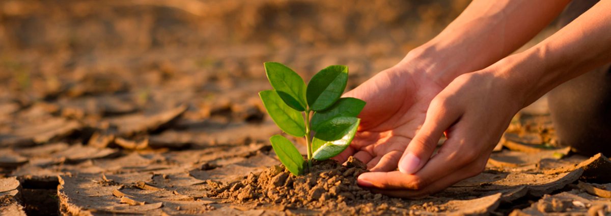 Declara-zona-de-escasez-a-las-provincias-de-Osorno,-Llanquihue,-Chiloé-y-Palena,-Región-de-Los-Lagos