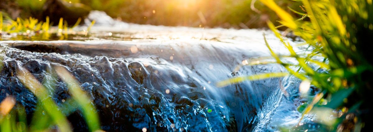 Declara-zona-de-escasez-hídrica-a-la-Región-de-Los-Ríos