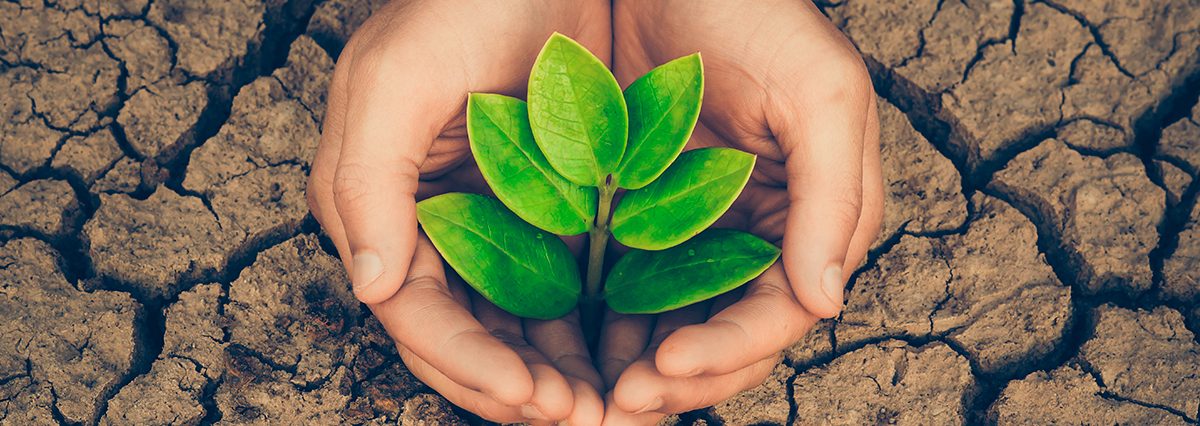 Declaran-situación-de-emergencia-agrícola-en-varias-comunas-de-la-Región-de-Aysén