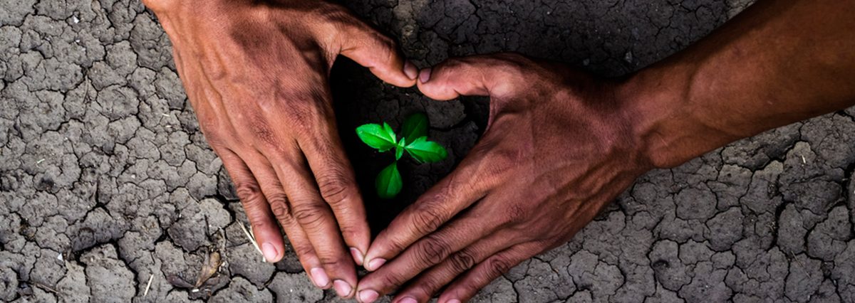 Declaran-zona-de-escasez-hídrica-a-la-Provincia-de-Petorca