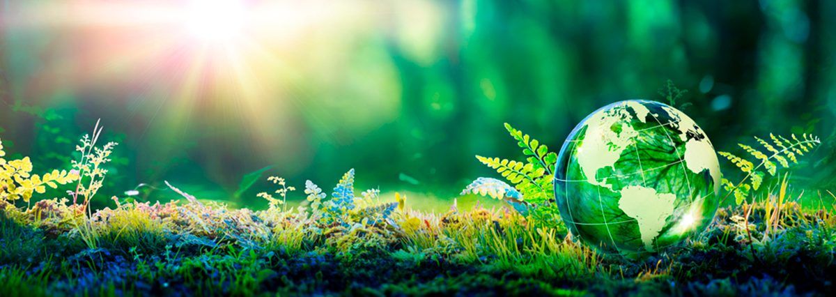 Día-Mundial-de-los-Humedales-60-humedales-urbanos-han-sido-reconocidos-por-el-MMA-desde-la-promulgación-de-Ley-21.202