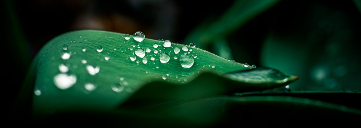 Dos-nuevas-declaraciones-a-solicitud-de-municipios-de-Humedales-Urbanos