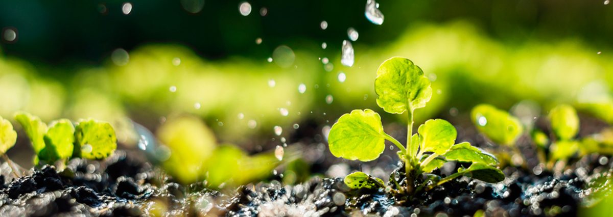 Dos-nuevas-declaraciones-de-Humedales-Urbanos-en-la-Región-de-Valparaíso