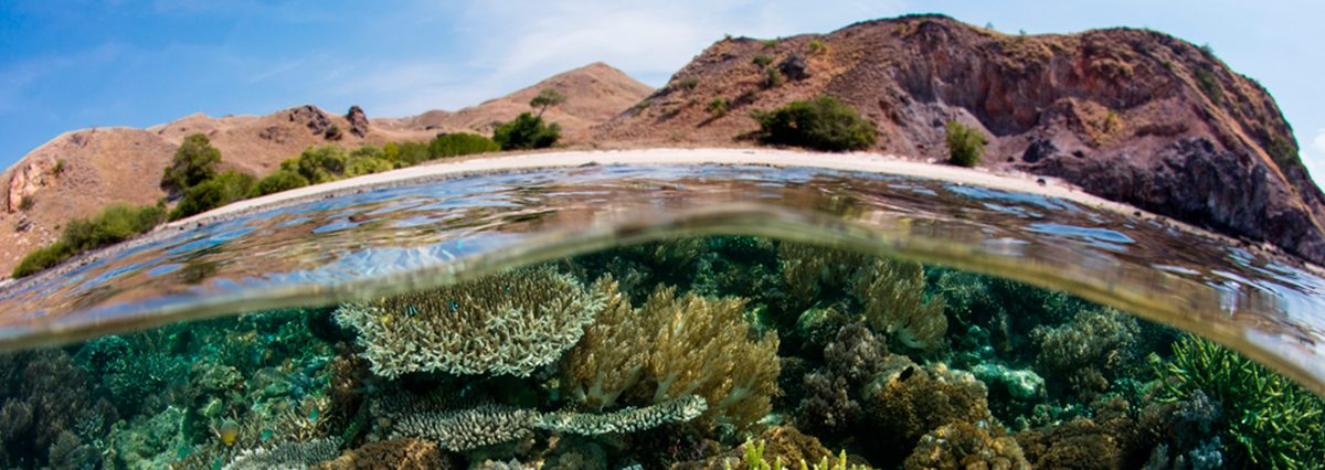 El-Servicio-de-Evaluación-Ambiental-precisa-la-entrada-al-SEIA-de-proyectos-ejecutados-en-humedales-urbanos