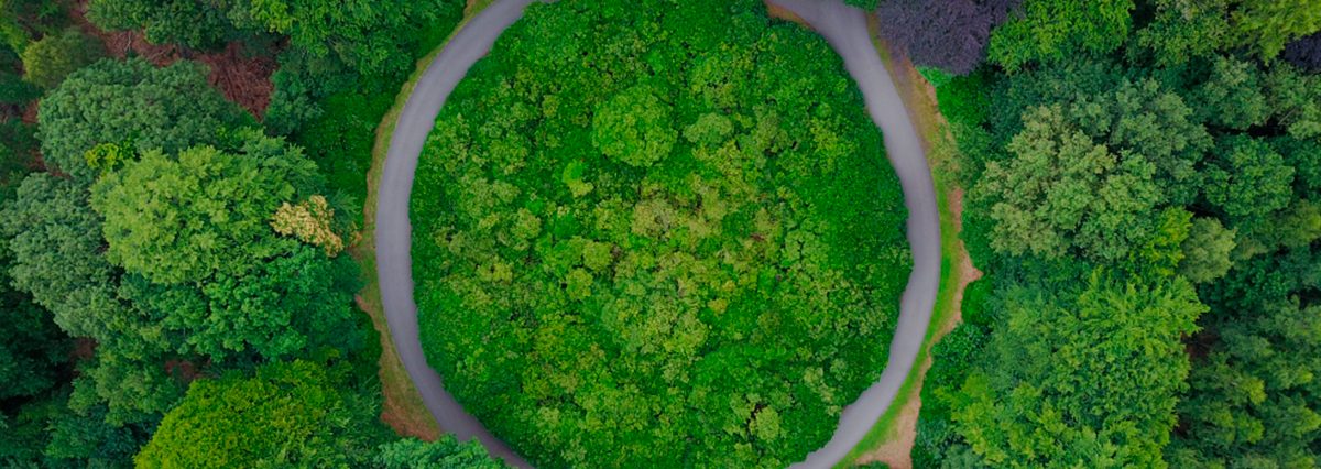 Introduce-los-principios-de-economía-circular-en-las-compras-del-Estado