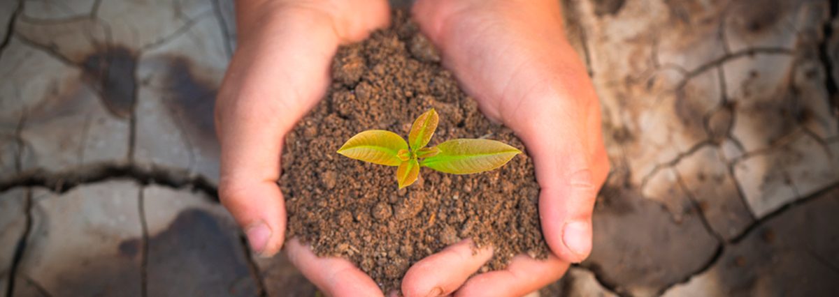 La-comuna-de-Alto-del-Carmen-es-declarada-zona-de-escasez-hídrica