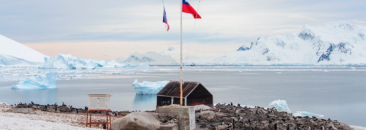 Ley-establece-el-Estatuto-Chileno-Antartico