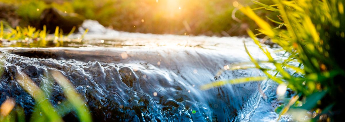 Ley-permite-reservar-el-agua-para-asegurar-su-uso-prioritario-en-el-contexto-de-catástrofe-constitucional-por-calamidad-pública