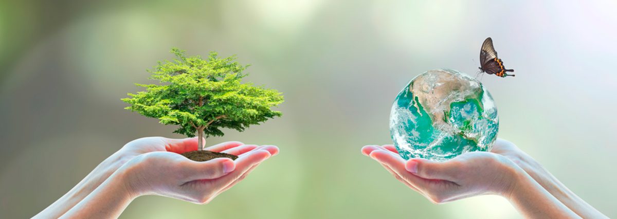 Los-proyectos-que-afecten-humedales-deben-someterse-al-SEIA