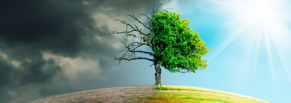 MOP-declara-zona-de-escasez-hídrica-a-localidad-de-Islas-Huichas-en-Aysén