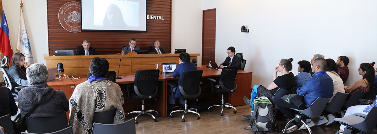 Medio-Ambiente-Tribunal