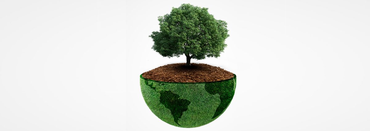 Ministerio-del-Medio-Ambiente-reconoce-el-Humedal-Urbano-Laguna-Avendaño,-por-solicitud-municipal