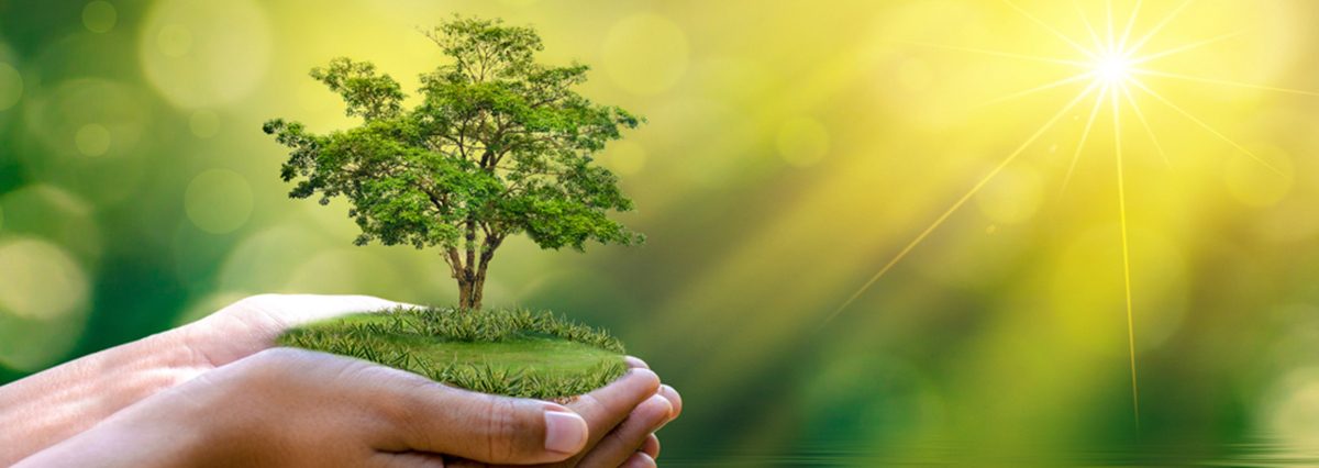 Ministerio-del-Medio-Ambiente-reconoce-oficialmente-el-Humedal-Urbano-Mallolafquén