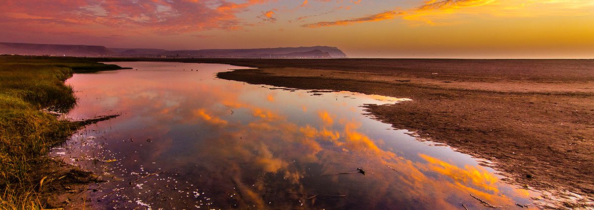 Ministerio-del-Medio-ambiente-inició-de-oficio-el-primer-proceso-de-reconocimiento-de-33-humedales-urbanos