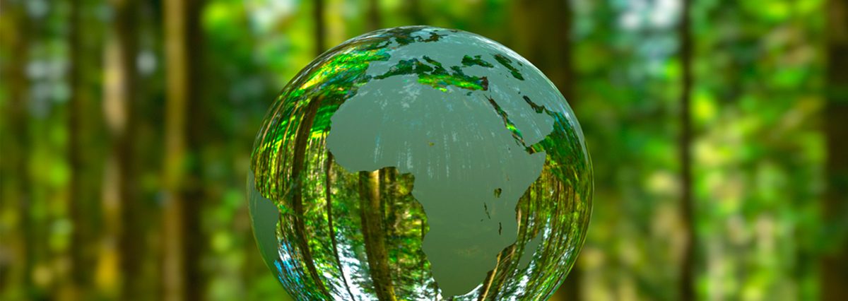 Municipalidad-de-Río-Claro-establece-normas-medio-ambientales-para-proyectos-en-la-comuna