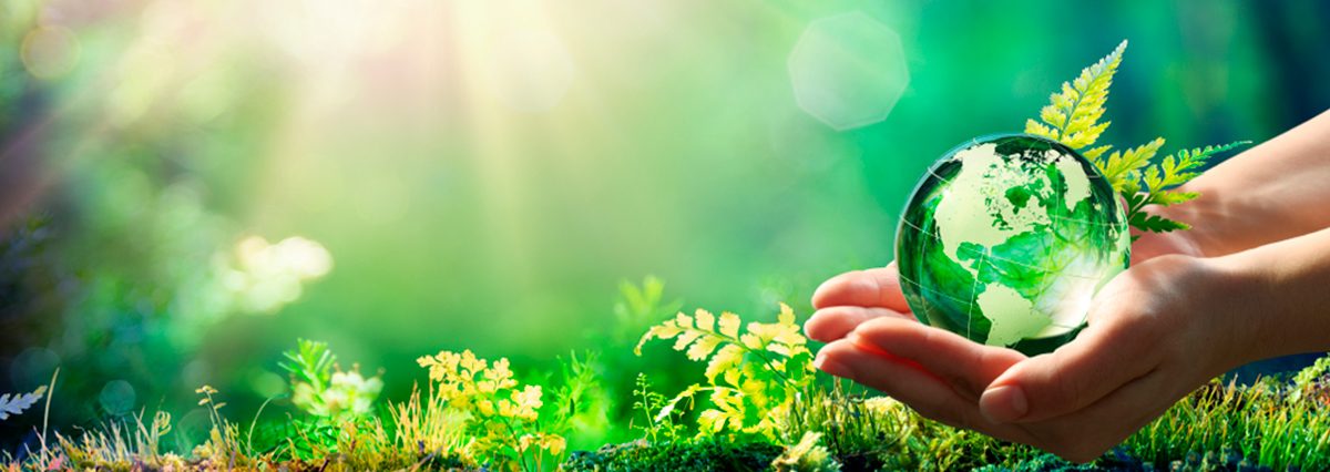 PROTECCIÓN AMBIENTAL