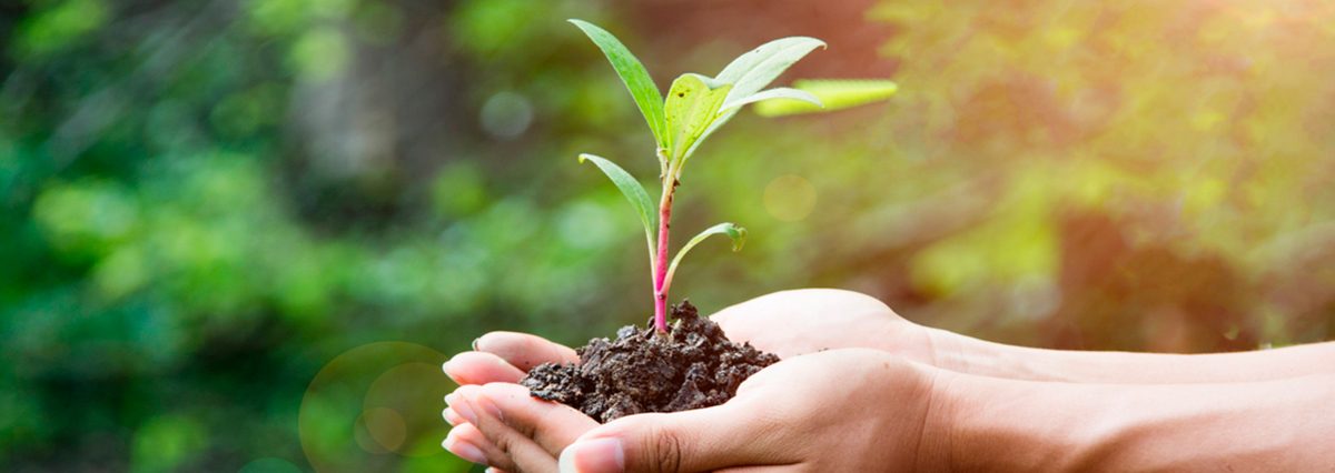 Programa-de-fiscalización-de-impuesto-que-grava-las-emisiones-al-aire-de-material-particulado,-óxidos-de-nitrógeno,-dióxido-de-azufre-y-dióxido-de-carbono