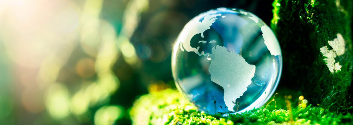 Programa-de-fiscalización-de-normas-de-calidad-ambiental-para-el-presente-año