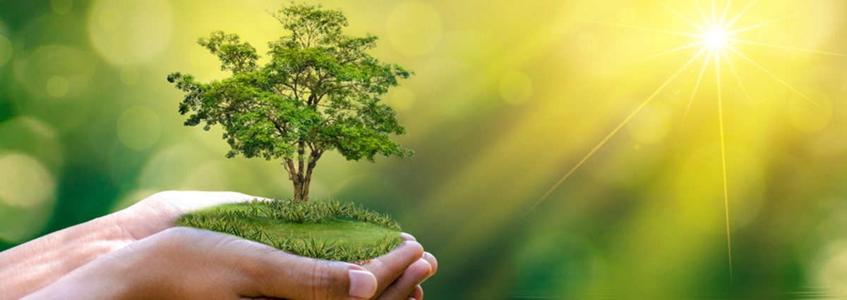 Programa-de-fiscalizacion