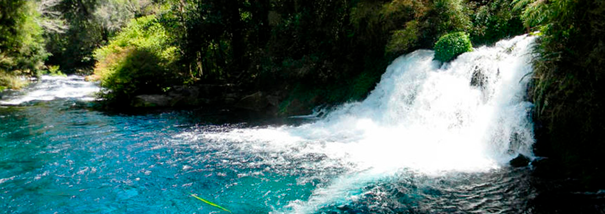 Prorroga-de-suspension-de-los-plazos-de-procedimientos-administrativos-ante-la-Direccion-General-de-aguas