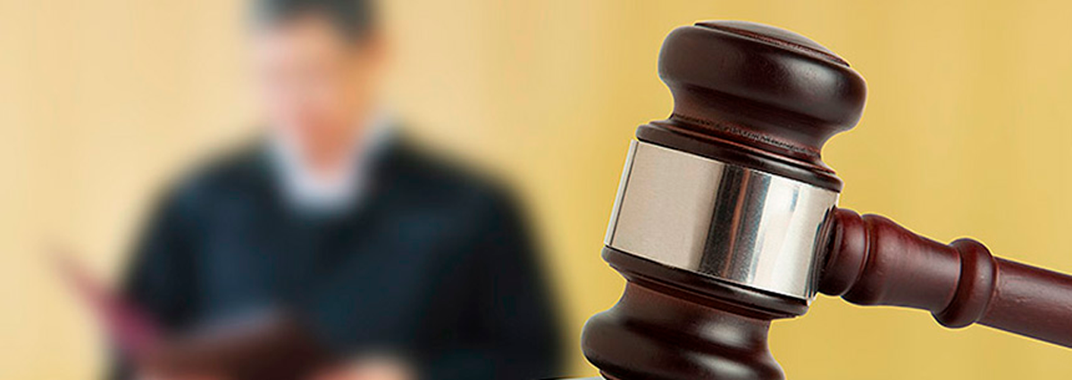 Proyecto-de-ley-busca-agravar-las-penas-delitos-cometidos-durante-estado-de-excepcion-constitucional