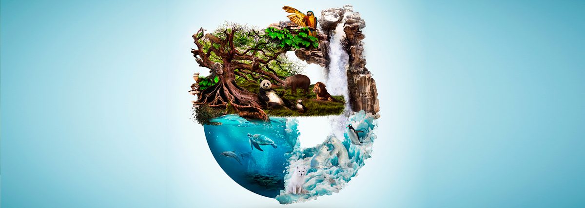 Proyecto-de-ley-determina-la-participación-del-Intendente-Regional-en-las-Comisiones-de-Evaluación-Ambiental