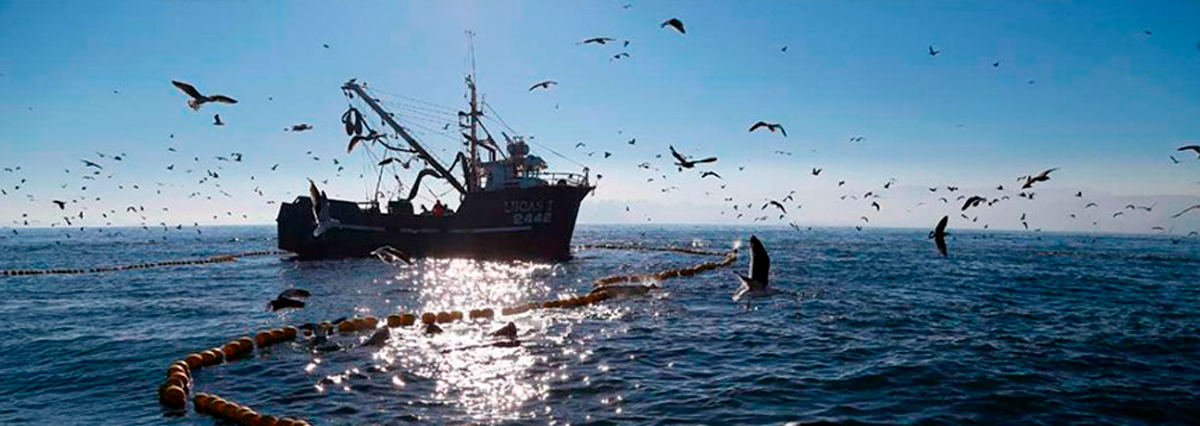 Proyecto-de-ley-modifica-la-legislacion-pesquera-para-enfrentar-la-pandemia