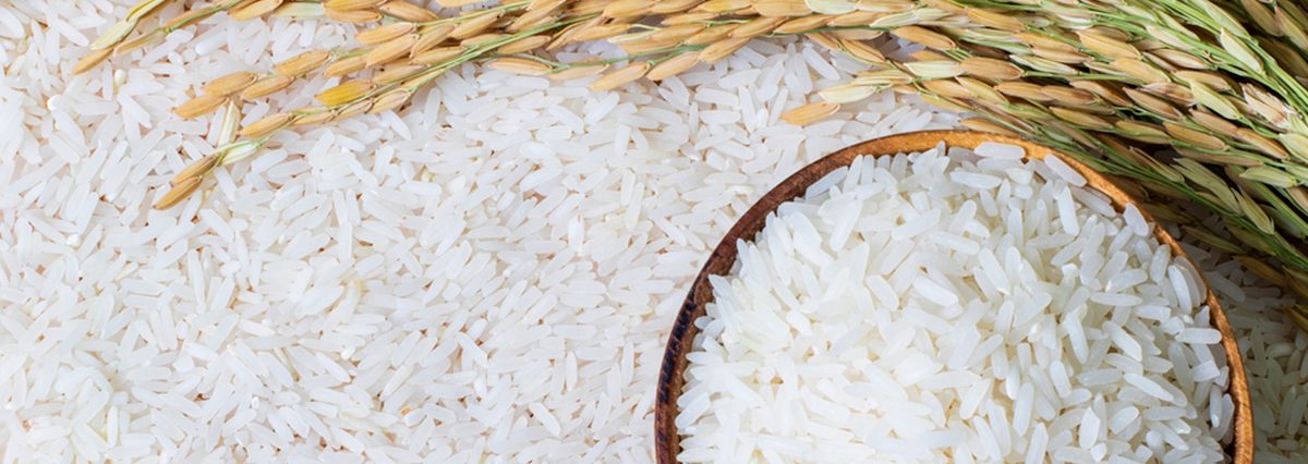 Proyecto-de-ley-que-establece-la-obligación-de-los-supermercados-a-disponer-espacios-exclusivos-para-la-venta-de-productos-de-todo-tipo-a-granel-y-libres-de-plástico