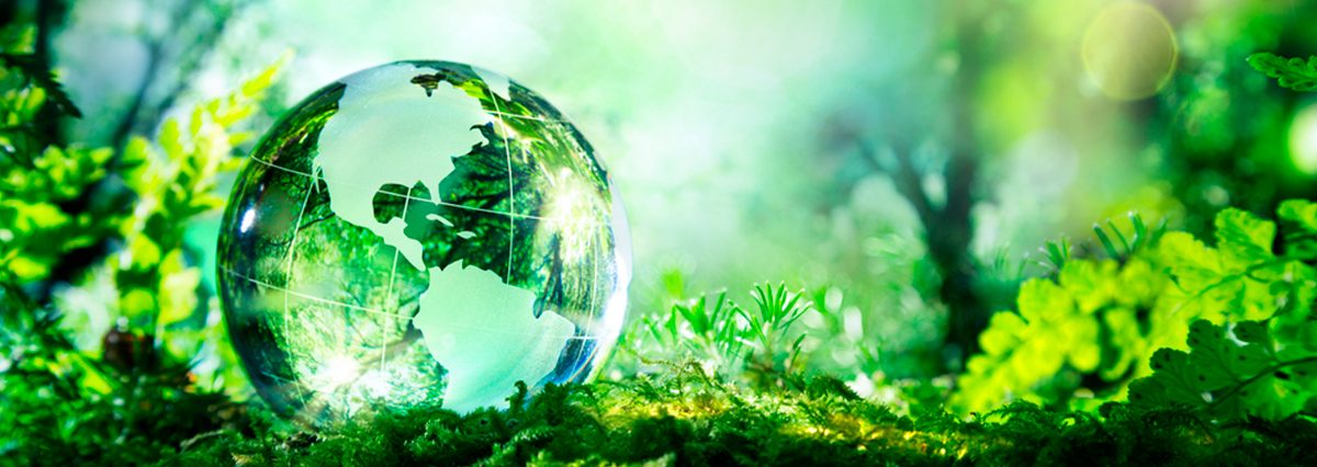 Reconoce-Humedal-Urbano-Humedal-El-Trapiche