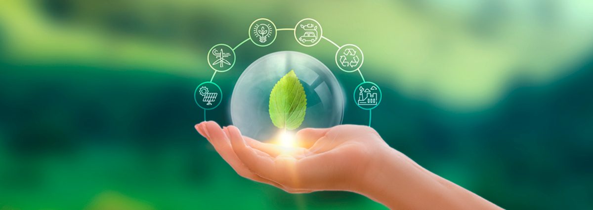 Reconoce-de-oficio-Humedal-Urbano-Río-Mapocho-en-comunas-El-Monte-y-Talagante