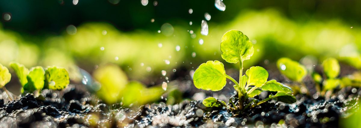 Reconoce-de-oficio-el-humedal-urbano-Parque-María-Behety-