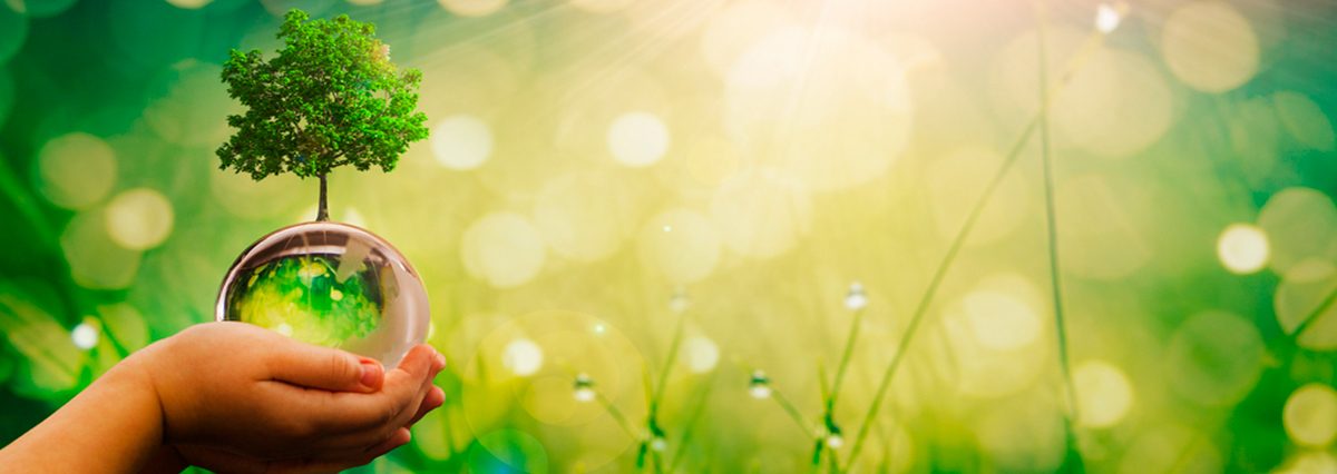 Reconocen,-por-solicitud-municipal,-al-humedal-urbano-Humedal-Itata