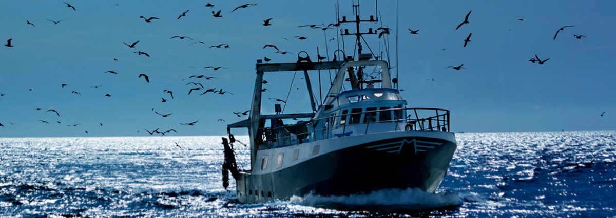 Reforma-a-la-Ley-de-Pesca-exigirá-a-titulares-de-concesiones-medidas-evitar-el-desecho-de-depósitos