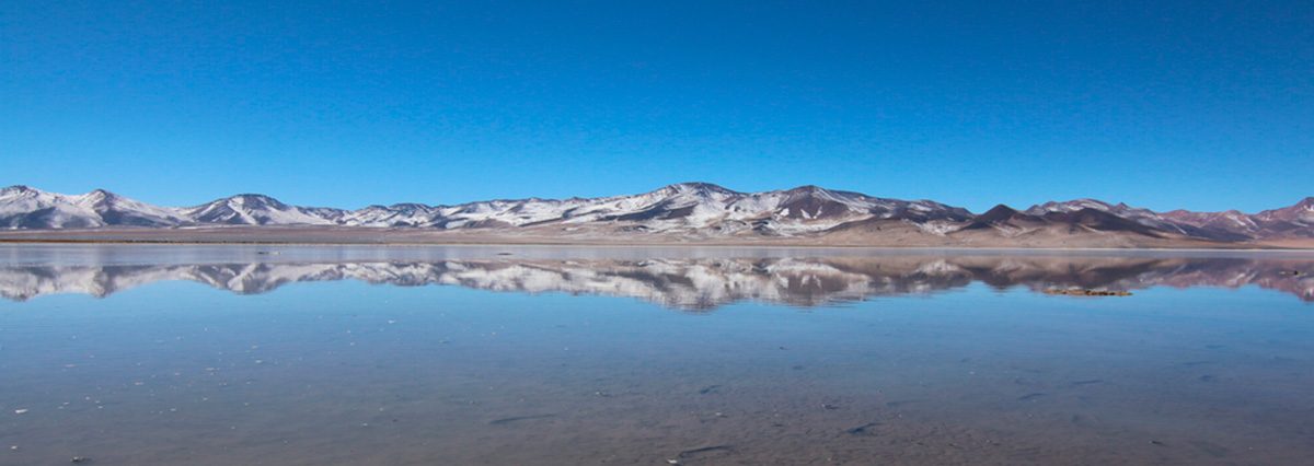 Reglamento-de-la-ley-N°21.202,-que-tiene-por-objetivo-proteger-los-humedales-urbanos.
