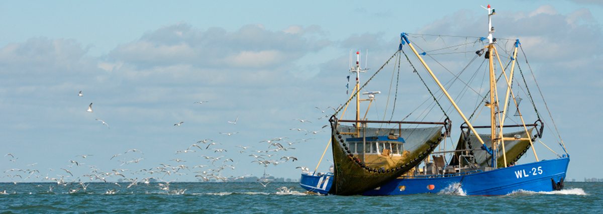 Remanente-no-consumido-en-la-pesca-artesanal-el-año-2020,-podrá-ser-capturado-dentro-de-los-30-días-siguientes-al-inicio-de-las-temporadas-del-año-2021