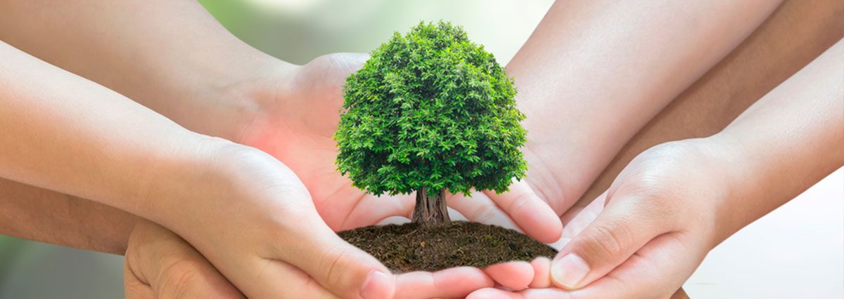 Resolución-fija-organización-interna-de-la-Superintendencia-del-Medio-Ambiente-