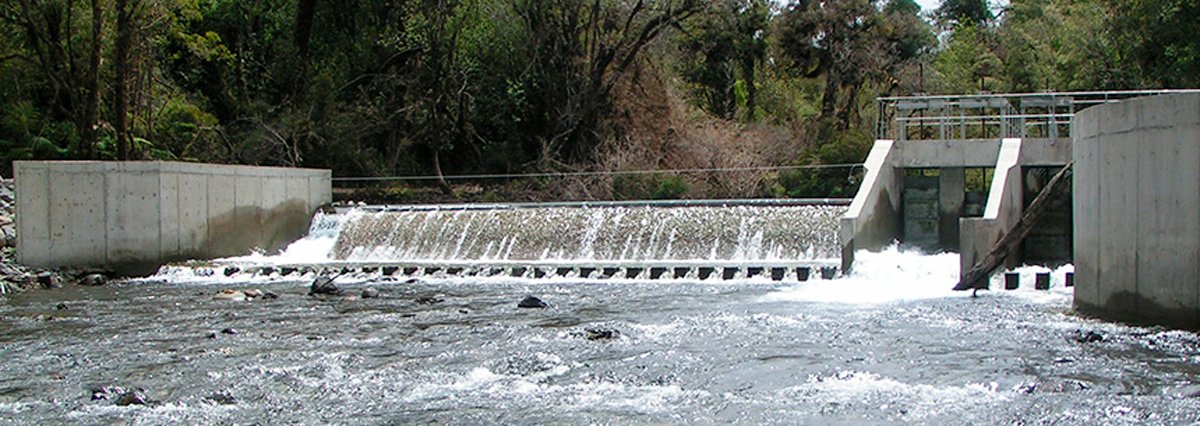 Resolucion-prorroga-la-suspension-de-los-plazos-de-procedimientos-administrativos-ante-la-Direccion-General-de-Aguas