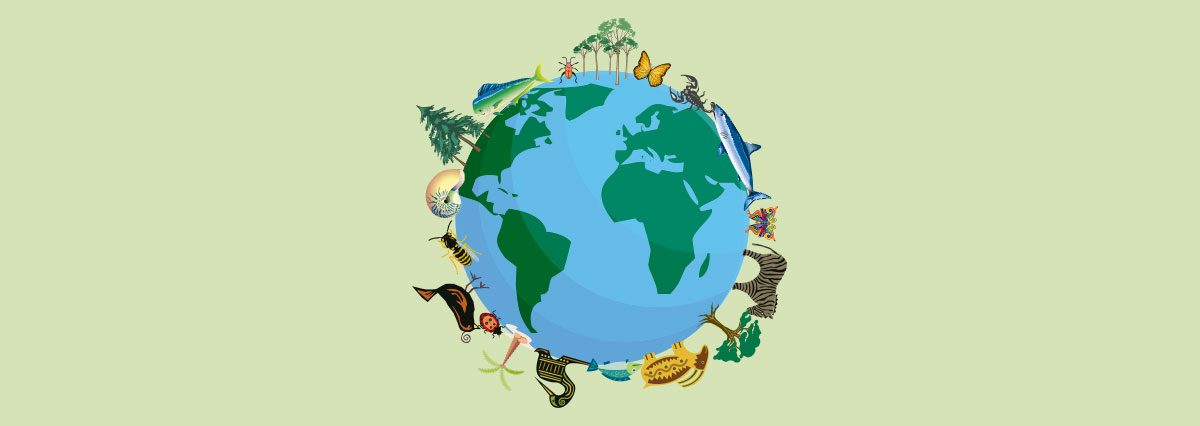 Se-declara-santuario-de-la-naturaleza-el-Humedal-Salinas-de-Pullaly---Dunas-de-Longotoma